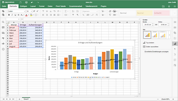 Wie kann man ein Diagramm in Excel erstellen? Schritt  5