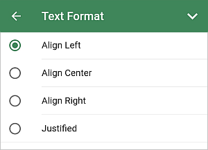 Text Format panel