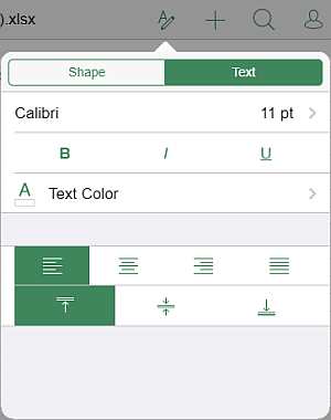 Text settings panel