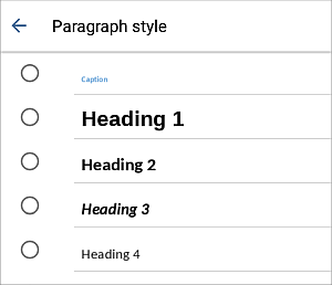 Paragraph Styles settings