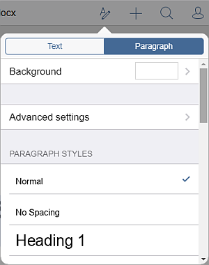 Paragraph Styles settings